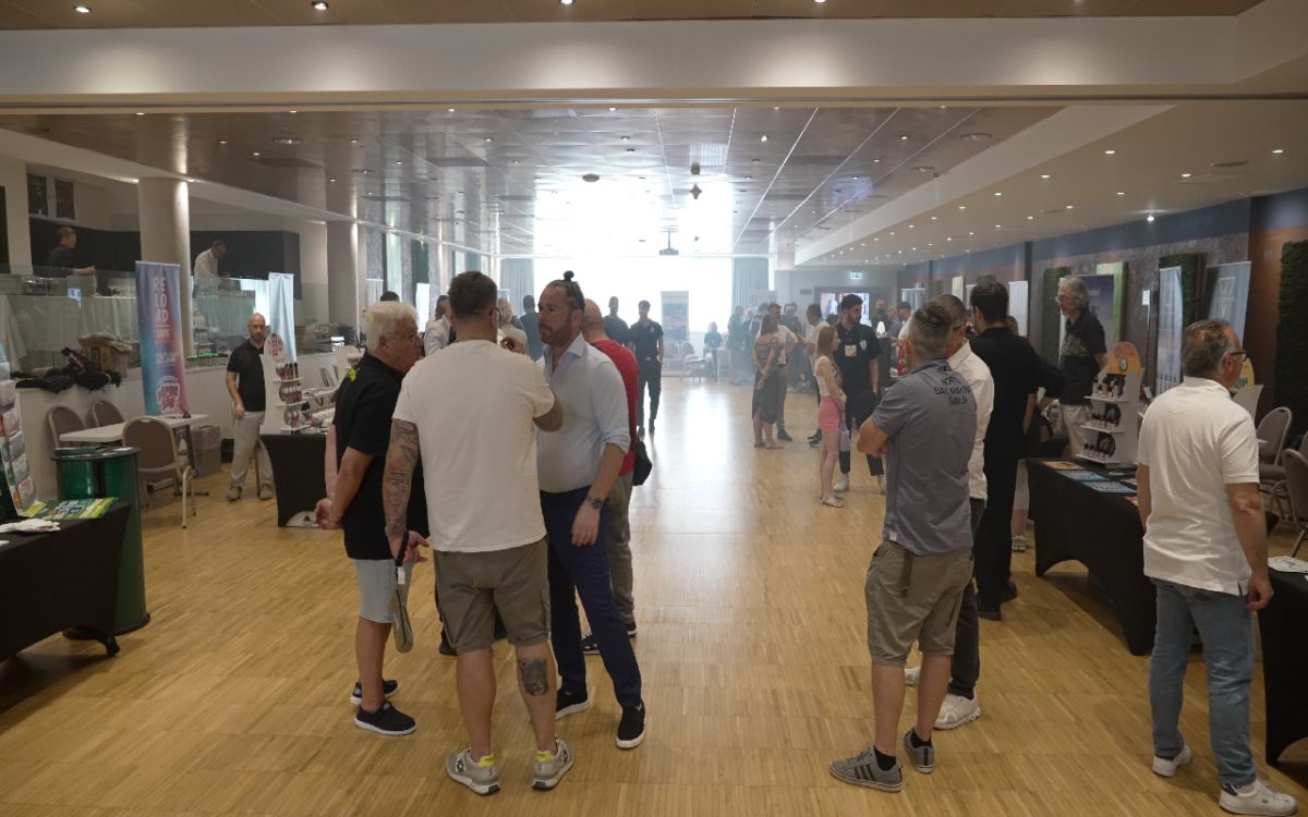 Gallery 6