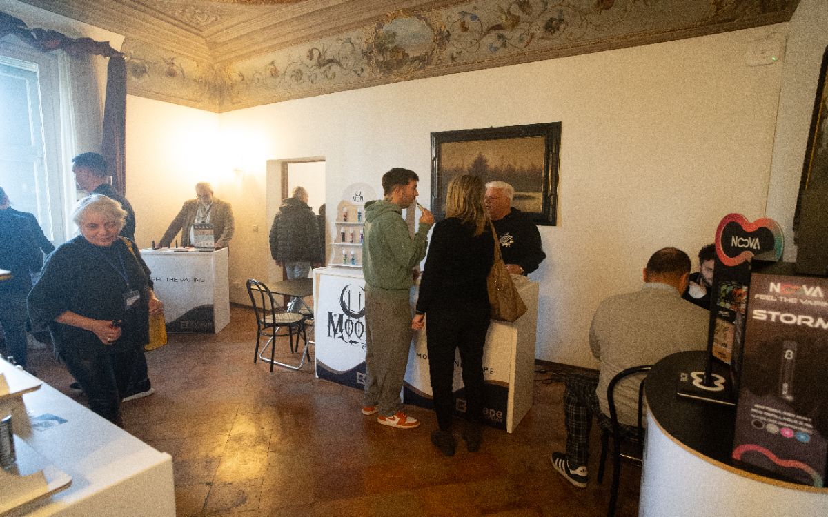 Gallery 14
